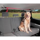 Solvit PupZIP Vehicle Zipline for Dogs