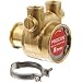 Procon 114B330F11XX Brass Rotary Vane Pump, 1/2" NPTF, 346 GPH