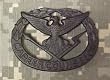 Career Counselor - Metal Insignia - Black - Full Size