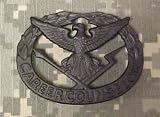 Career Counselor - Metal Insignia - Black - Full Size