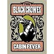 Cabin Fever