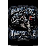 (22x34) Carolina Panthers (Mascot, Grinding It Out Since 1995) Sports Poster Print