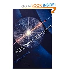 The Division Of Consciousness: The Secret Afterlife of the Human Pscyhe
