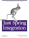 Books : Just Spring Integration