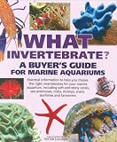 What Invertebrate?