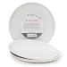 "What Is It?" Reusable White Dinner Plate, 9 Inch Melamine, Set of 4