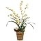 Oncidium Mix Faux Floral Arrangement in Pot
