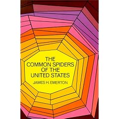 The Common Spiders of the United States