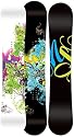 Never Summer 2010 Infinity-R Snowboards