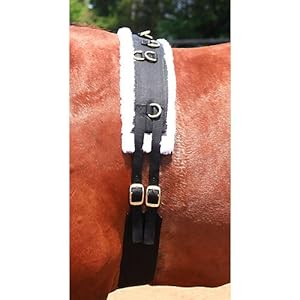 Basic Nylon Fleece 8-Ring Training Surcingle