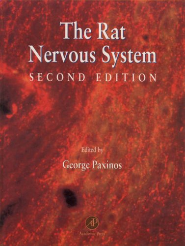 The Rat Nervous System