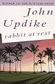 Rabbit at Rest
