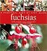 Fuchsias: A Practical Step-By-Step Guide (Step By Step Guide)