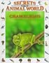 Chameleons: Masters of Disguise (Secrets Animal World)