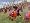 Medieval II: Total War (PC DVD)