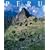 Peru (Exploring Countries of the World)