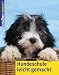 Image of Hundeschule leicht gemacht. Mit praktischen Schritt - für - Schritt - Anleitungen
