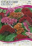Celosia - Cockscomb