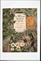 The Herbal Medicine Cabinet: Preparing Natural Remedies at Home