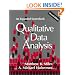 Qualitative Data Analysis: An Expanded Sourcebook(2nd Edition)