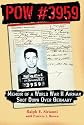 POW #3959: Memoir of a World War II Airman Shot Down Over Germany