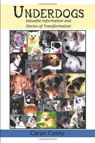 Underdogs: Valuable Information and Stories of Transformation