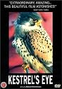 Kestrel's Eye