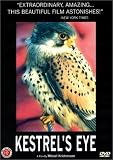Kestrels Eye