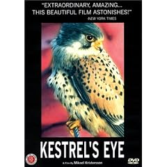 Kestrel's Eye by 