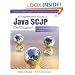 Programmer's Guide to Java SCJP Certification: A Comprehensive Primer
