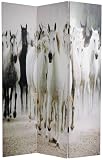 Equestrian Photo - 6ft. Herds of Black & White Horses Art Print Floor Screen - 3 Panel
