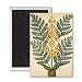 Fern with yellow flowers, plate from a seed.. - 3x2 inch Fridge Magnet - large magnetic button - Magnet