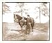 Civil War Photo (M): Brandy Station Va. Lt. Col. Orson H. Hart A.A.G. of 3d Corps and horse