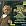 Donizetti: Don Pasquale