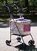 Designer Pet Strollers-white W/pink Trim and Print-quick Release Fold Down Frame