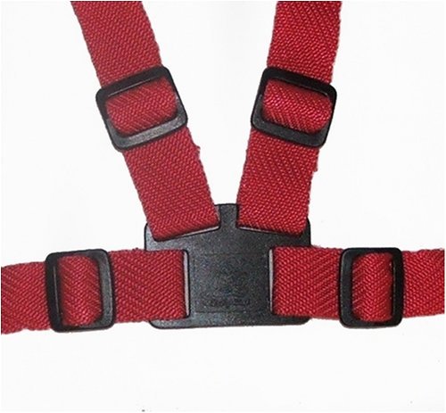 Childrens Toyshop  Toys : Baby Club Child Harness