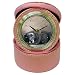 Limited Edition Violano Jewelry Case Travel Alarm Clock Retriever Dog