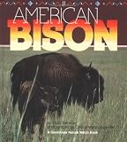 American Bison (Nature Watch)