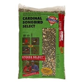 Stokes Select STK5137-14 Cardinal Songbird Select