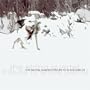 String Quartet Tribute to Snow Patrol