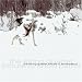 String Quartet Tribute to Snow Patrol
