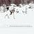 String Quartet Tribute to Snow Patrol