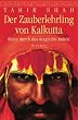 Der Zauberlehrling von Kalkutta: Reise durch das magische Indien