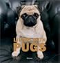 Living with Pugs