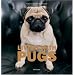Living with Pugs