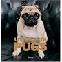 Living with Pugs