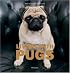 Living with Pugs