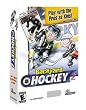 Backyard Hockey