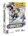 Backyard Hockey