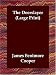 The Deerslayer (Large Print)